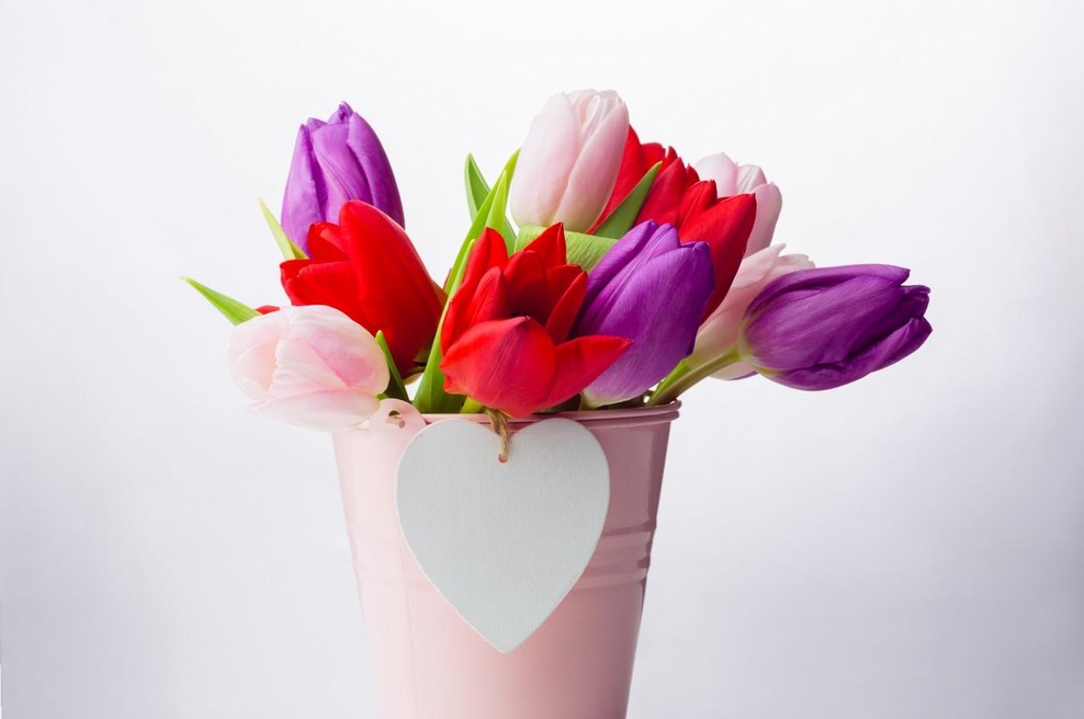 Tulipani (foto: Profimedia)