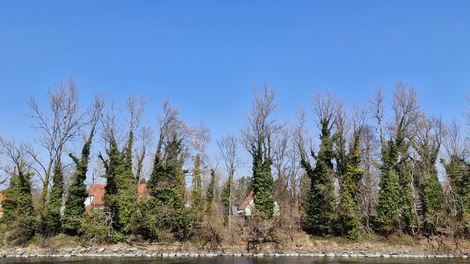 vreme, Mura