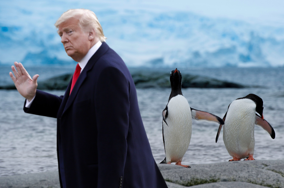 Pred carinami Donalda Trumpa ni varen noben kraj na svetu: 10-odstotne carine napovedal tudi otokom, kjer živijo le pingvini (foto: Profimedia/fotomontaža)