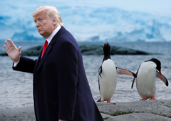 Pred carinami Donalda Trumpa ni varen noben kraj na svetu: 10-odstotne carine napovedal tudi otokom, kjer živijo le pingvini
