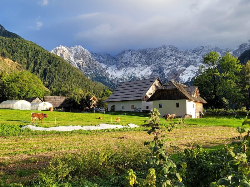Izbrani najlepši avtokampi v Evropi: na seznamu tudi slovenski