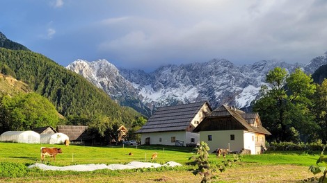 Kakšno priznanje! Izbrali 10 najboljših turističnih kmetij v Sloveniji, med njimi tudi ...