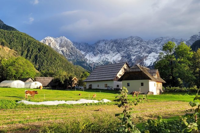 Kakšno priznanje! Izbrali 10 najboljših turističnih kmetij v Sloveniji, med njimi tudi ...