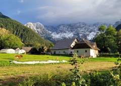 Kakšno priznanje! Izbrali 10 najboljših turističnih kmetij v Sloveniji, med njimi tudi ...