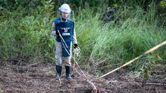 Podgana Ronin mine kambodža Guinnessova knjiga rekordov