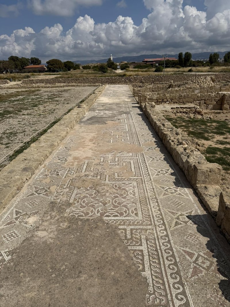 Ciper Paphos izkopanine arheologija