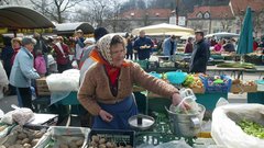 Ljubljana trznica branjevka