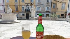 Piran Fritolin pri kantini