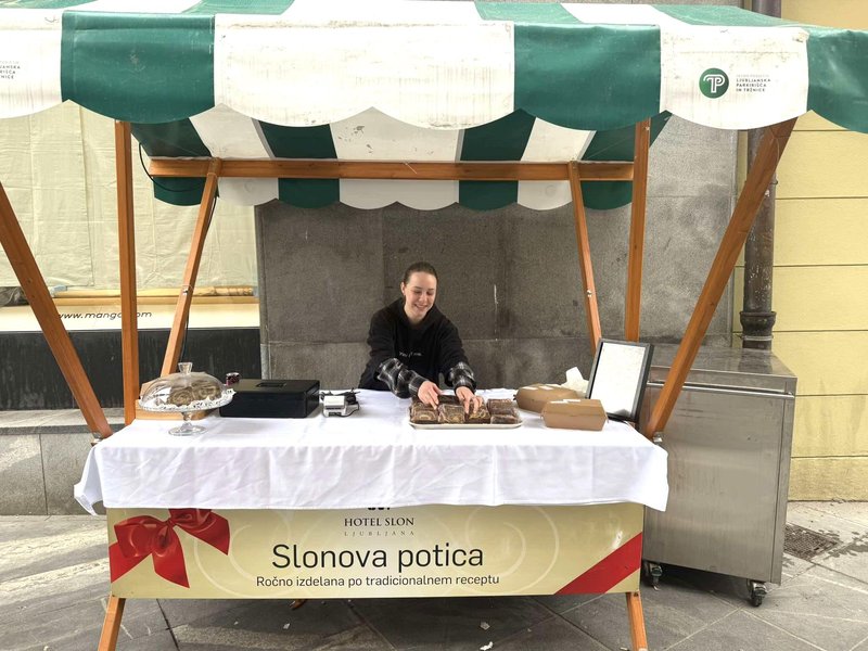 Slonova potica stojnica