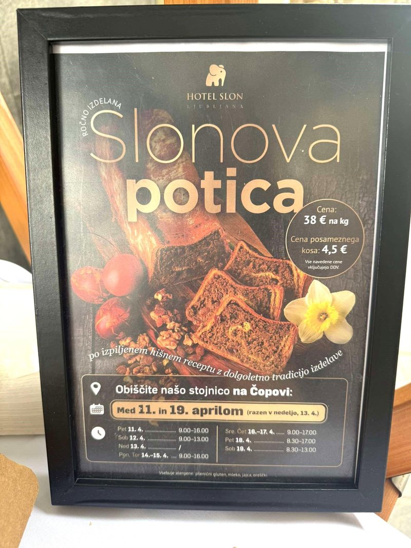 Slonova potica stojnica