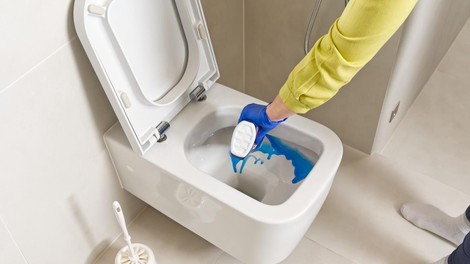 trik wc stranišče citronska kislina