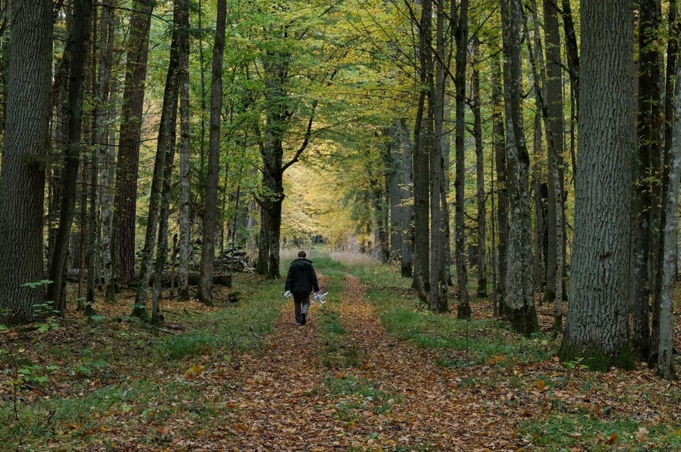 Znanstveniki z neverjetnim odkritjem o živali, ki se skriva v gozdu (foto: Profimedia)