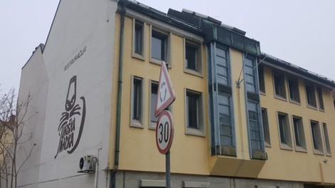 Turška mačka