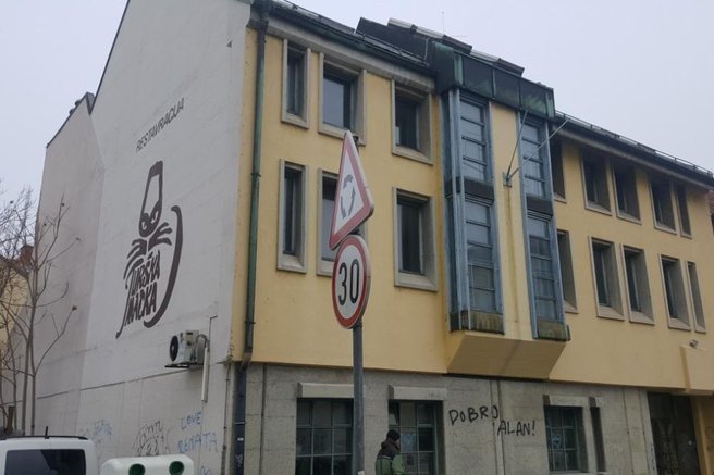 Turška mačka