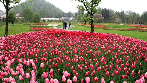 arboretum volčji potok