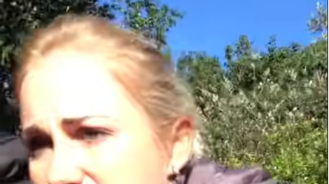 žirafa