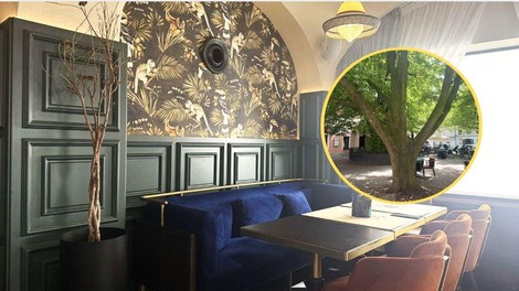 Papillon bistro Ljubljana