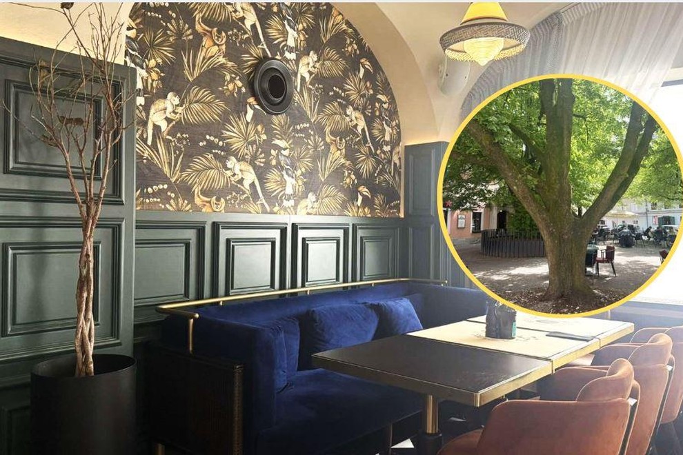 Papillon bistro Ljubljana