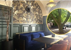 Stara lipa, novi okusi: "šik" bistro, ki osvaja prefinjeno Ljubljano (FOTO)