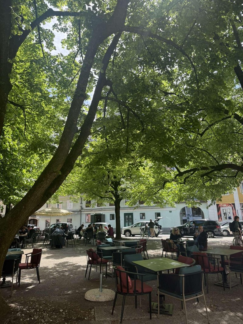 Papillon bistro Ljubljana