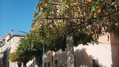 Miramar bar Koper morska hrana