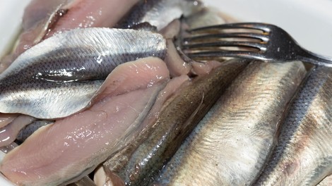 Surströmming