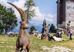 Najbolj pristna slovenska navada obnorela turiste: "Popolna svoboda v naravi!"
