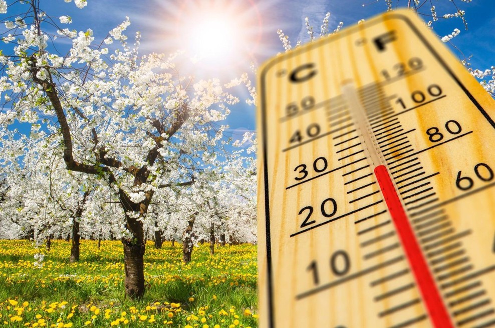 Vreme nas bo razvajalo: temperature se bodo povzpele celo do ... (foto: Profimedia)