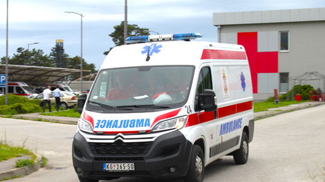 srbski rešilec