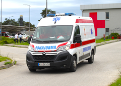 Tragedija na srbski prašičji farmi: v nesreči pri delu umrla skoraj cela družina