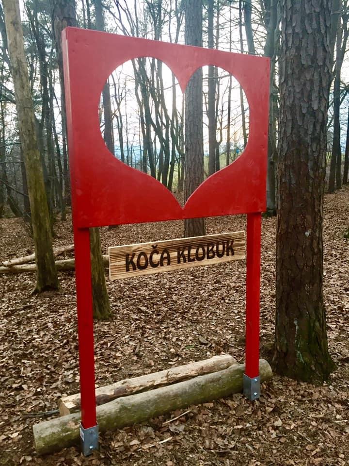 Klobuk hrib