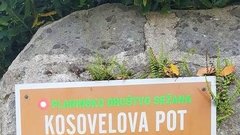 Kras Kosovelova pot