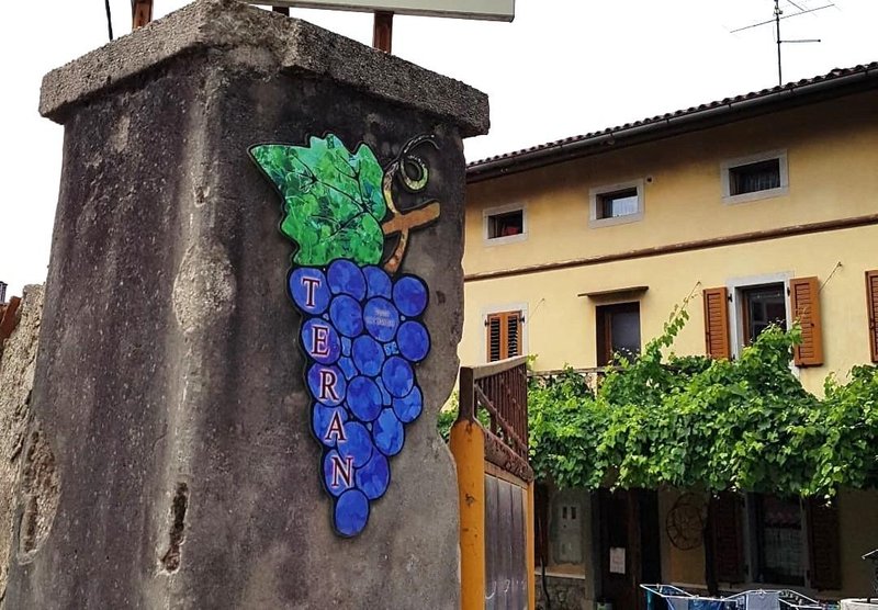 Kras Durovlje teran vino