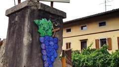 Kras Durovlje teran vino