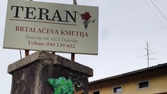 Kras Dutovlje gostilna teran