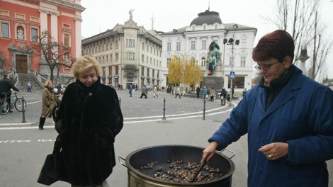 kostanj ljubljana mol