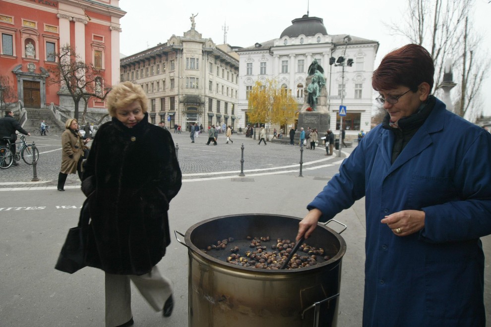 kostanj ljubljana mol