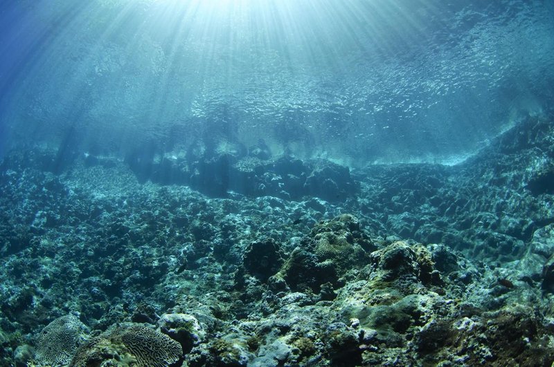 Tihi ocean morje vulkan izbruh ZDA strokovnjaki Pacifik