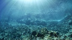 Tihi ocean morje vulkan izbruh ZDA strokovnjaki Pacifik
