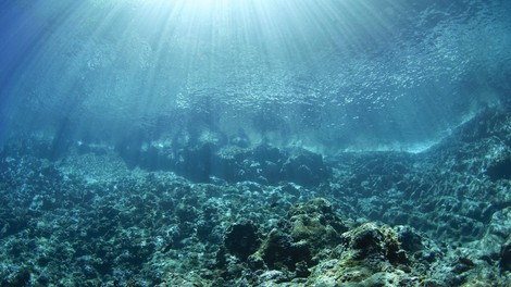 Tihi ocean morje vulkan izbruh ZDA strokovnjaki Pacifik