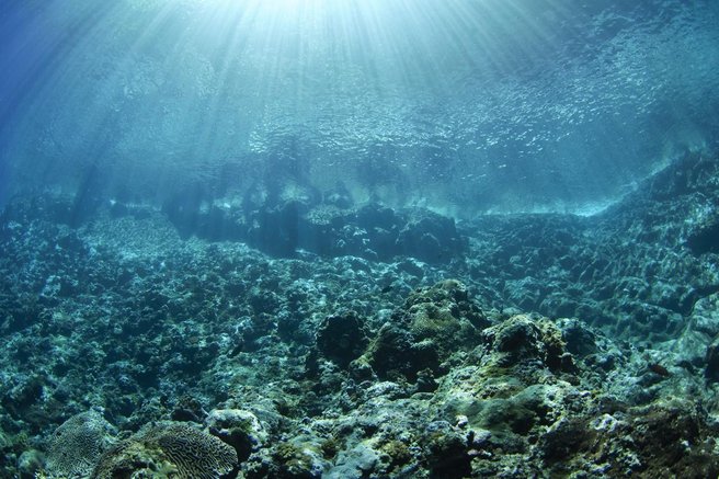 Tihi ocean morje vulkan izbruh ZDA strokovnjaki Pacifik