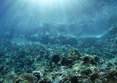 Posnetek iz oceana, star 28 let, še buri domišljijo, znanstveniki pa pravijo: "Doslej še nismo slišali nič podobnega"