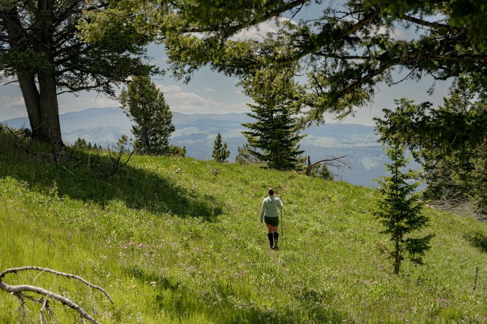 bizon moški napad ZDA Yellowstone