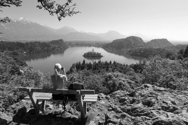 Bled