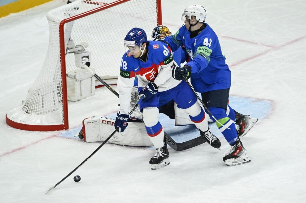 Slab začetek svetovnega prvenstva: risi izgubili tudi proti Slovakom (foto: Profimedia)