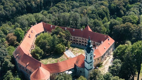 V slovenski grad se je po sedmih letih ponovno naselila žival, ki se je nekateri zelo bojijo