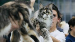 Prvič v Sloveniji: predstavili bodo žival, ki spominja na volkodlaka