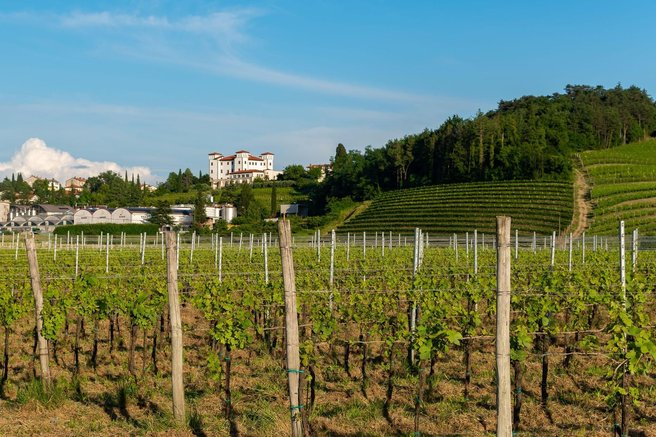 Ideja za izlet: Grad, ki piše novo zgodbo – ravno prenovljen in pripravljen na obisk