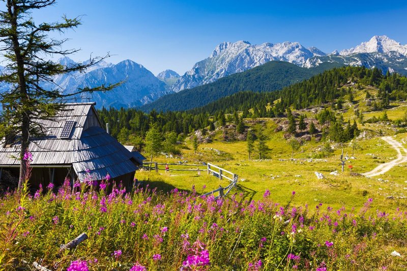 velika planina