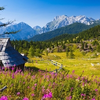 velika planina